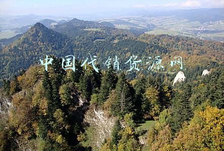中国代销货源网