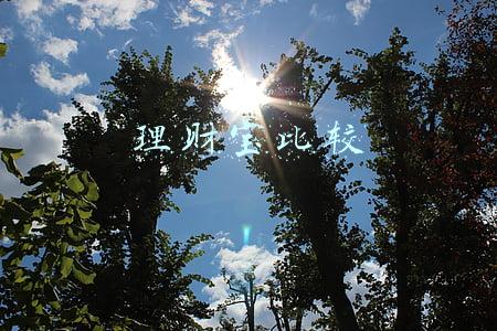 理财宝比较