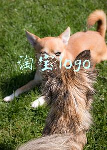 淘宝logo图片(淘宝换logo了？！还带来了洗脑神曲)