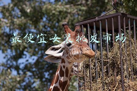女装批发市场哪里最好(中国十大女装批发市场盘点)