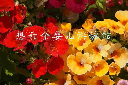 婴儿游泳馆加盟排行(2021年十大亲子游泳机构都有哪些？亲子游泳排行榜)
