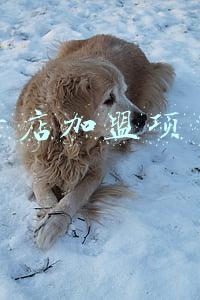 网上开店加盟项目(在家网上创业项目创业项目排行榜)