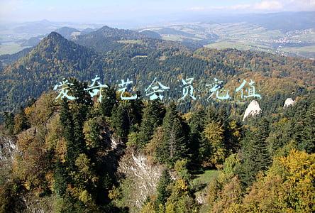 爱奇艺会员充值