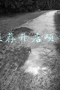 今年创业做什么项目好(2022几种创业好项目)