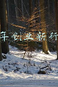 明年后年是什么生肖(2022年是虎年，老人说：“明年七月半，猛虎要下山”，是啥意思？)