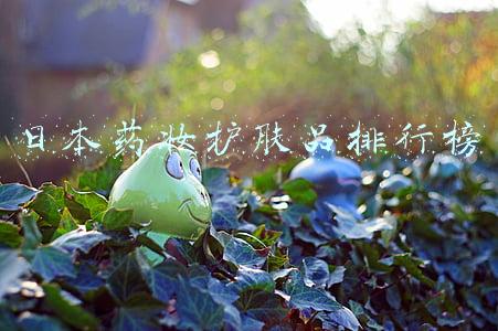 日本药妆护肤品排行榜