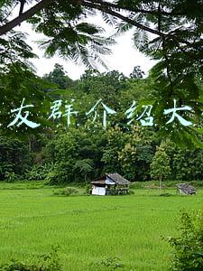 交友群介绍大全