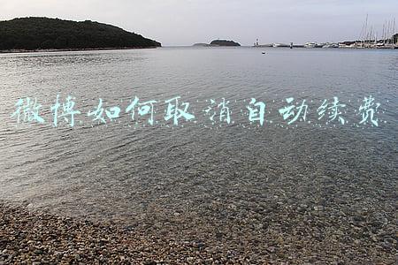 微博自动续费怎么取消(如何解除微博会员支付宝自动续费)