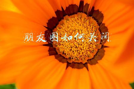 朋友圈如何关闭