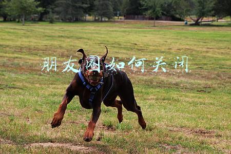 朋友圈如何关闭