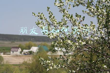 朋友圈如何关闭