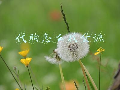 代购怎么找货源