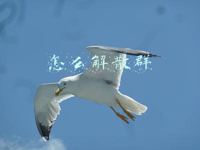 怎么解散群