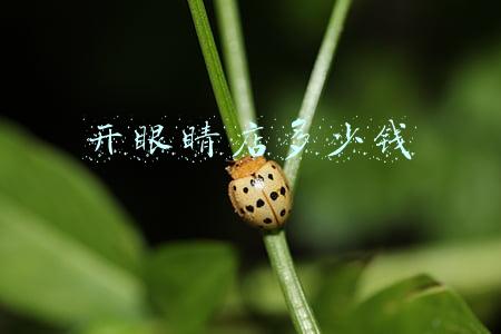 眼镜店的利润有多大？：眼镜店暴利吗