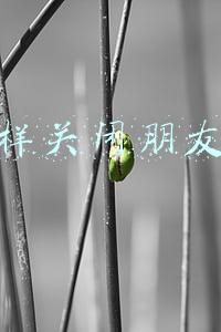 怎样关闭朋友圈