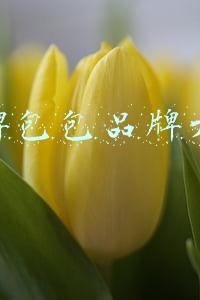 名牌包包品牌大全