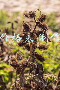 价格表制作