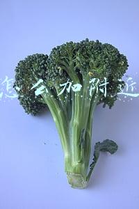 微信怎么加附近的人 微信怎么加附近的人