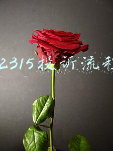 12315投诉流程