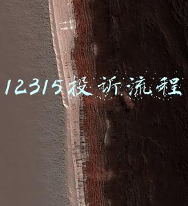 12315投诉流程