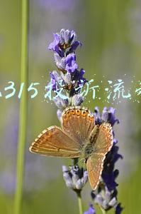 12315投诉流程