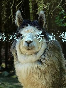 游戏账号出售平台(游戏账号交易平台有哪些，哪个平台安全性最高？)