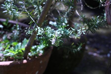 淘宝竞品分析