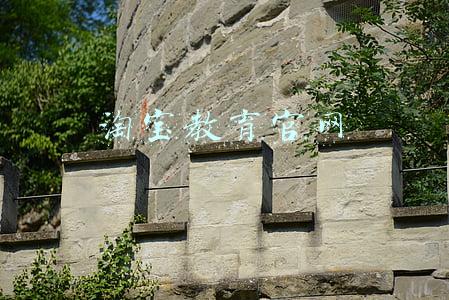 淘宝教育官网入口(淘宝发布一亿新生计划，机构如何入驻淘宝教育？)