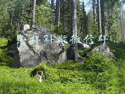 怎样解散微信群