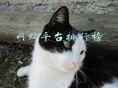 网购平台排行榜