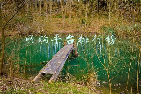 网购平台排行榜