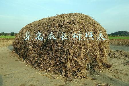 身高衣长对照表 男装(服装制版男装结构尺寸一览表)