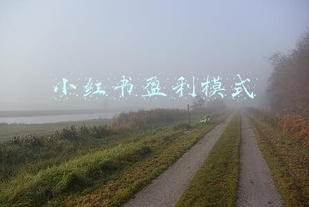 小红书盈利模式
