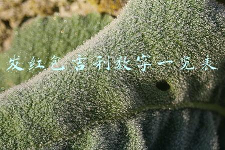 发红包吉利数字一览表