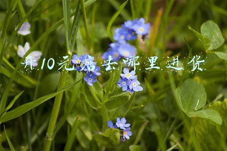 开10元店去哪里进货