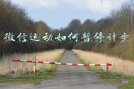 微信运动如何暂停计步