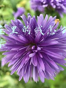 余额宝里的钱怎么转到银行卡