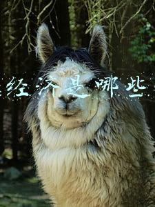 实体经济是哪些行业