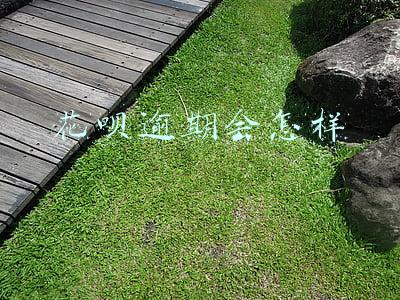 花呗逾期会怎样