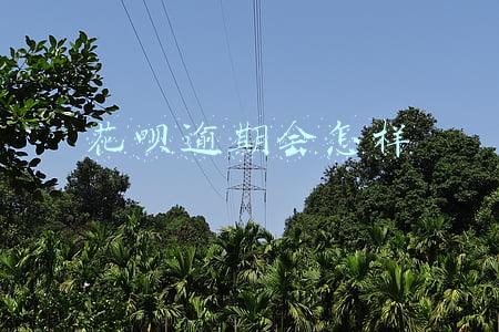 花呗逾期会怎样