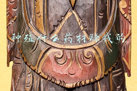 种殖什么药材赚钱的