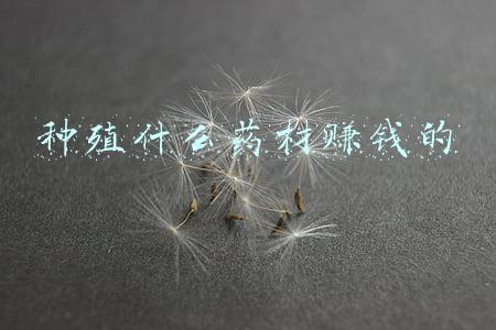 种殖什么药材赚钱的