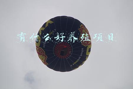 有什么好养殖项目