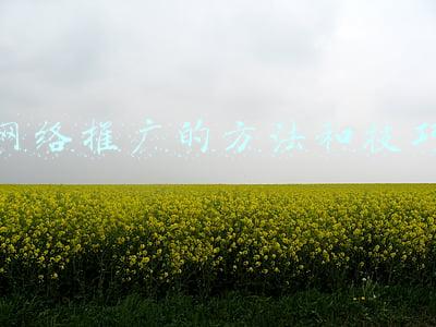 网络推广的方法和技巧