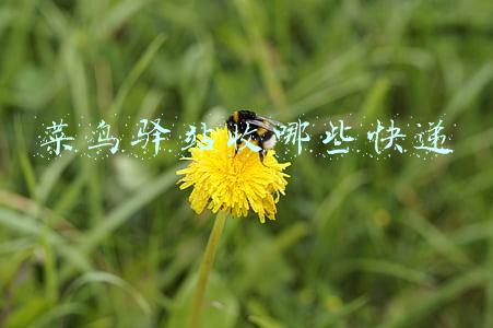 菜鸟驿站收哪些快递