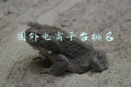 国外电商平台排名