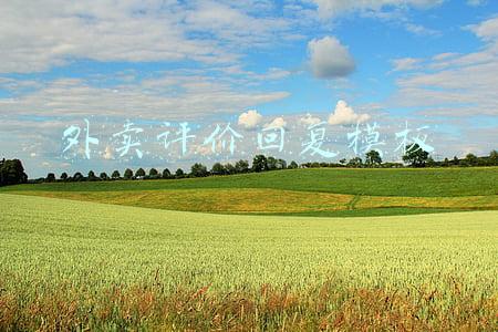外卖评价回复模板