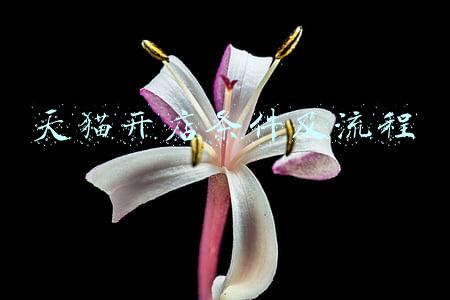 天猫开店条件及流程