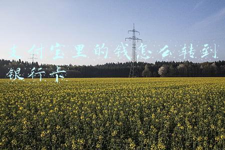 支付宝里的钱怎么转到银行卡