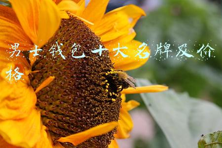 男士钱包十大名牌及价格